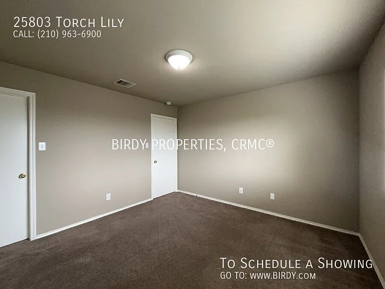 25803 Torch Lily — Photo 38