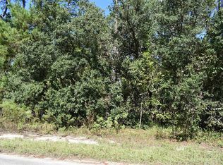 71 Bells Of Ireland Ct, Homosassa, FL 34446