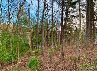 19 Brookridge Ln, Asheville, NC 28805