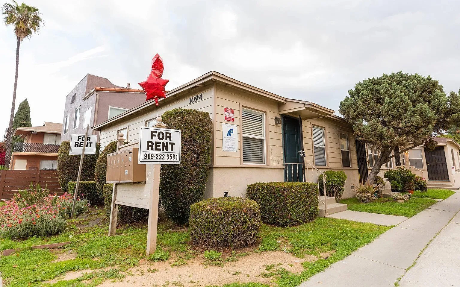 1 bed, 1.0 bath, 550 sqft, $1,695 — Photo 3