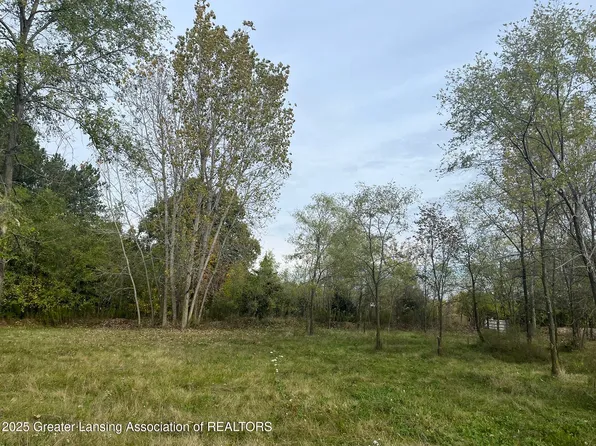 LOT 19 Amy Ln, Mulliken, MI 48861