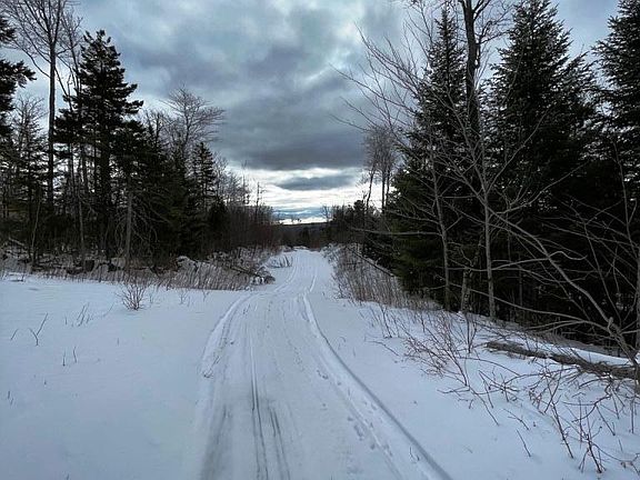 3rd image of Lot 5 Black Bear Extension