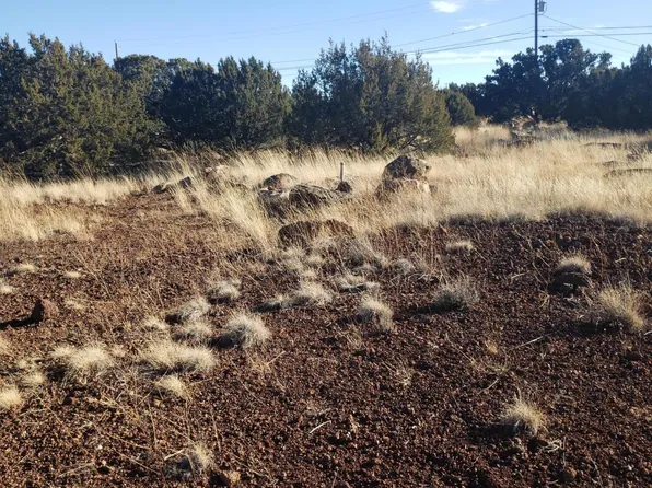 1786 Doughty Pl, Show Low, AZ 85901