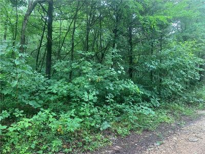 County Road 2143, Eureka Springs, AR, 72631