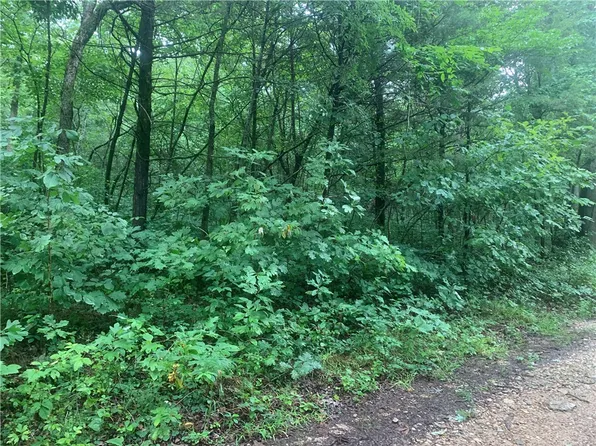 County Road 2143, Eureka Springs, AR 72631