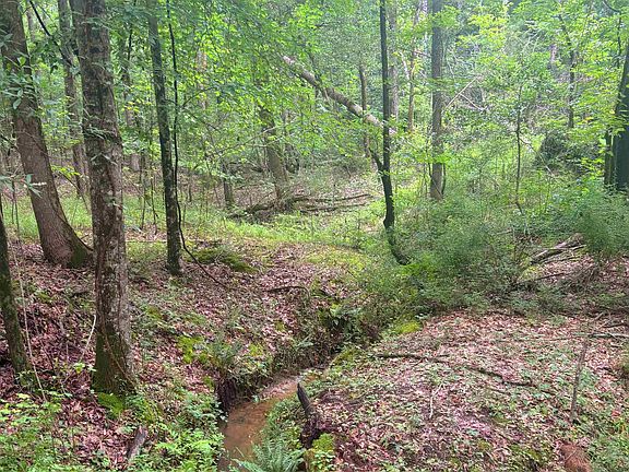 3rd image of 0 Harris Springs Rd
