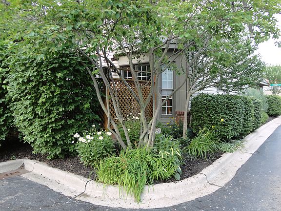 Mature Landscape & Privacy