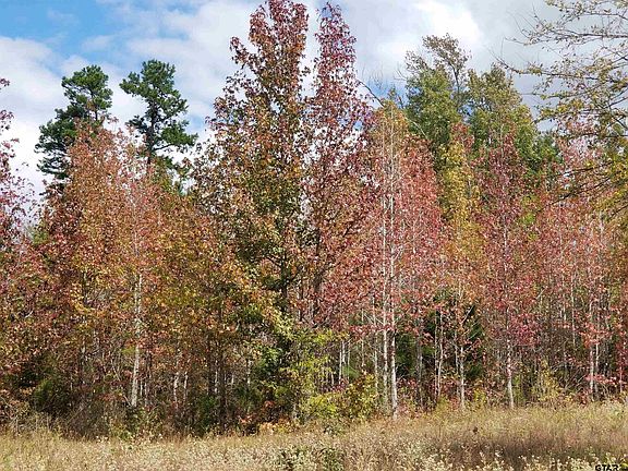 5th image of Fm 317