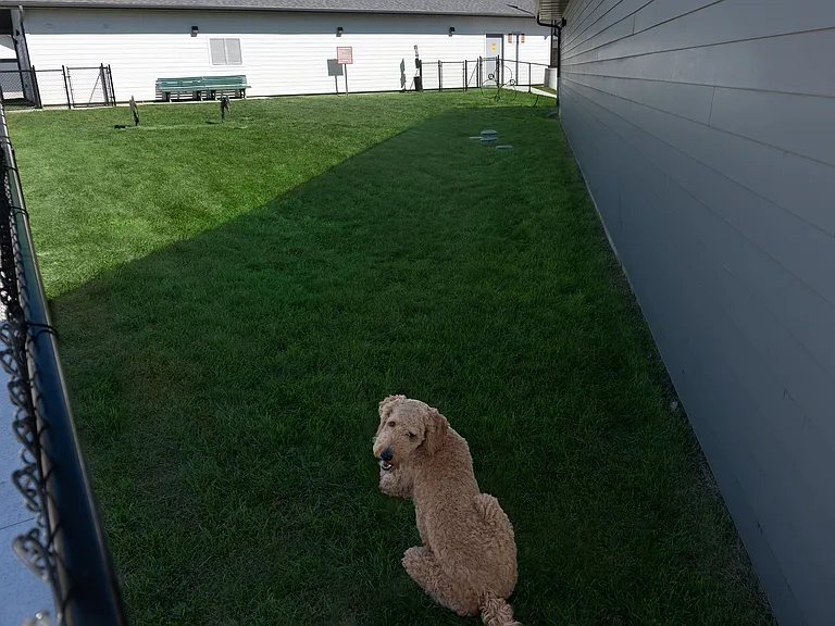 Bark Park
