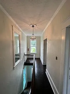 1028 Pennsylvania Ave #5 — Photo 5