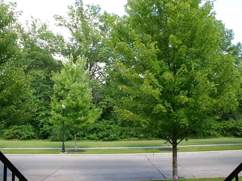1st image of 3871 Preserve Crossing Blvd