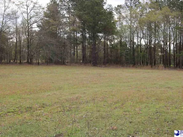 3329 W Bobo Newsom Hwy, Hartsville, SC 29550