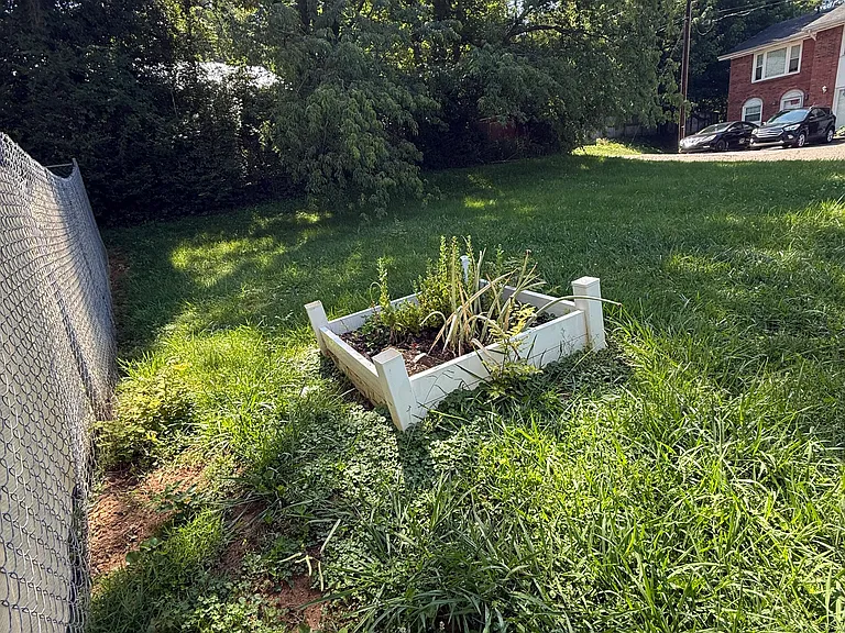 3388 Sweeten Creek Rd #2 — Photo 34