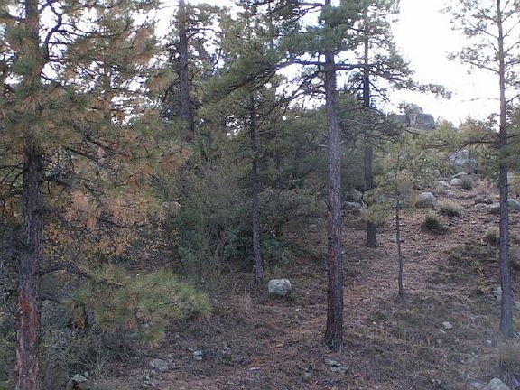 2nd image of 821 Mavrick Mountain Trl