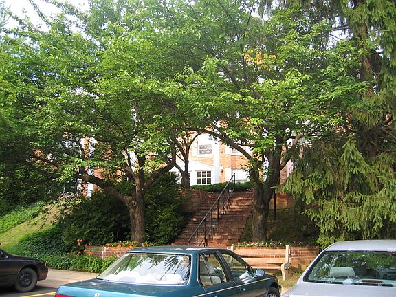 3rd image of 7721 Tremayne Pl APT 210