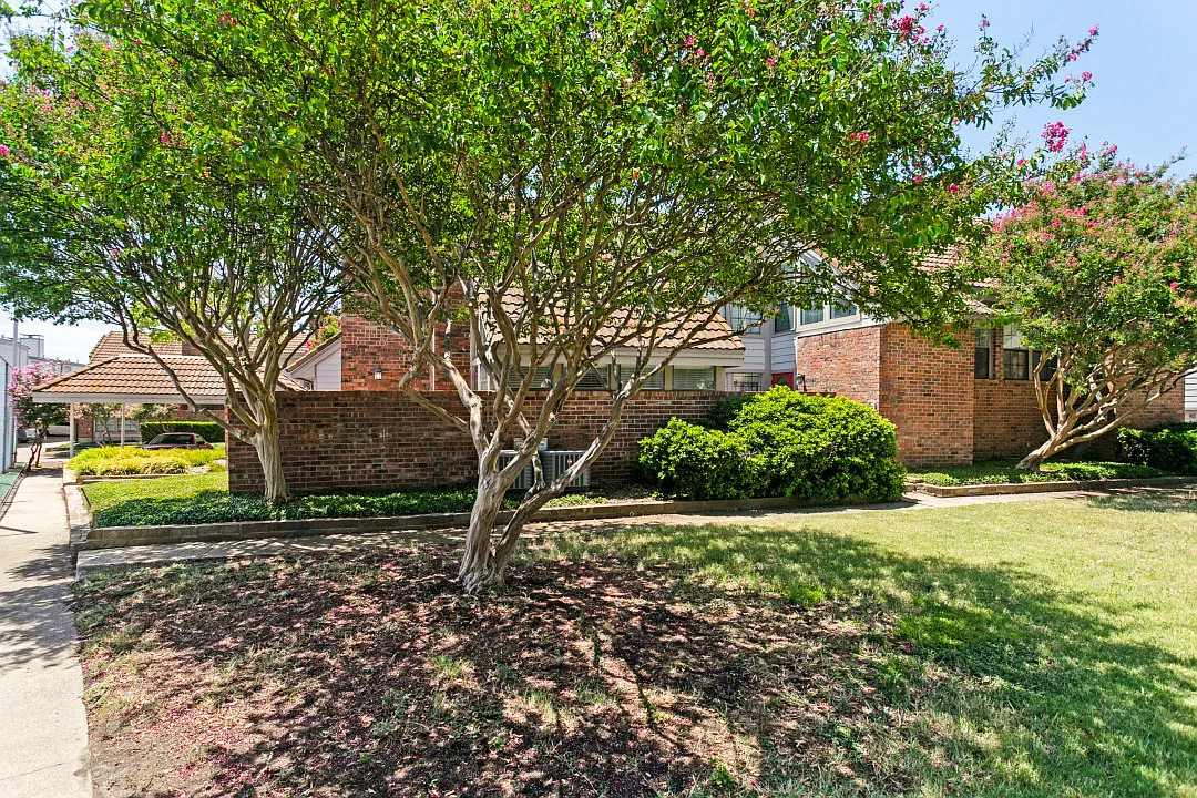 1 bed, 1.5 bath, 912 sqft, $1,500 — Photo 2