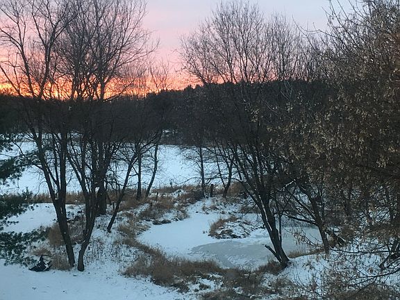 winter view from patio