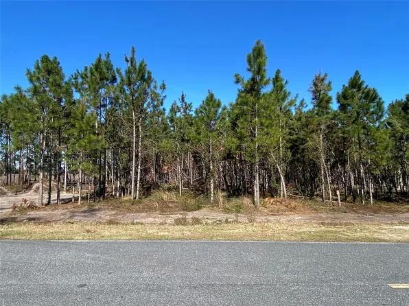 2988 SW County Road 534, Mayo, FL 32066