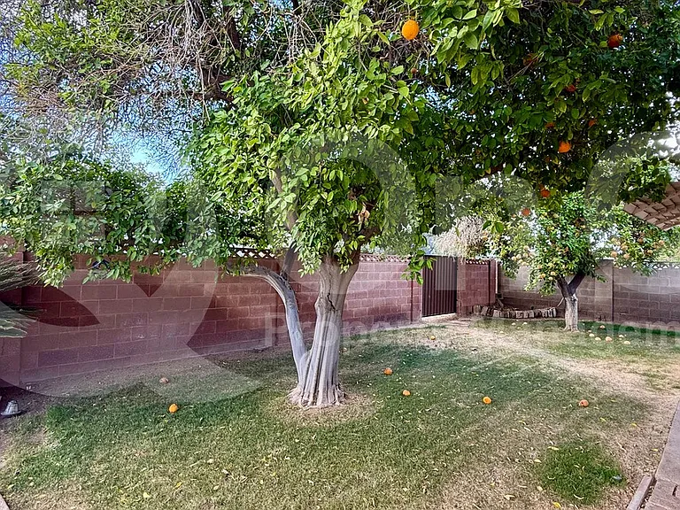1275 E Loma Vista Dr — Photo 23