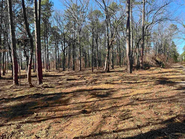 0 Island Shrs, Higden, AR 72067