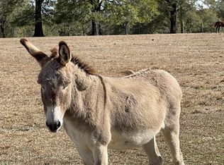 7750 Steel Mill Creek Rd, Laurel Hill, FL 32567