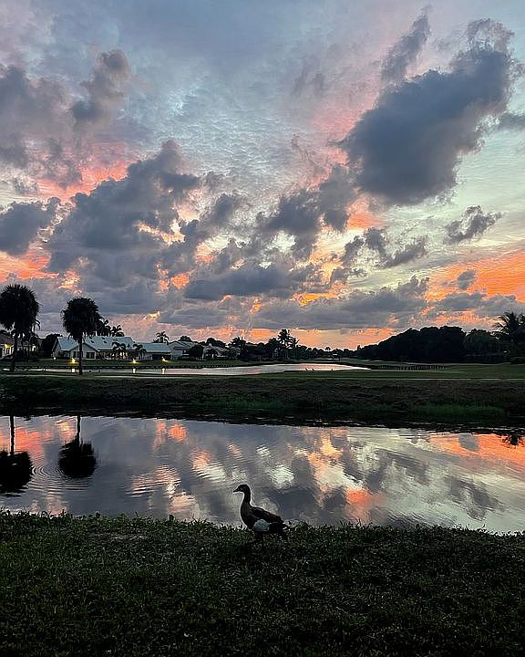 Spectacular Sunsets