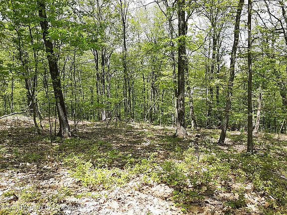 2nd image of 93 Grouse Hill Ln