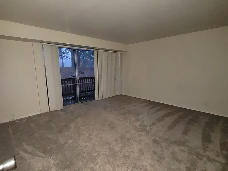 Spacious Downstairs Bedroom 2