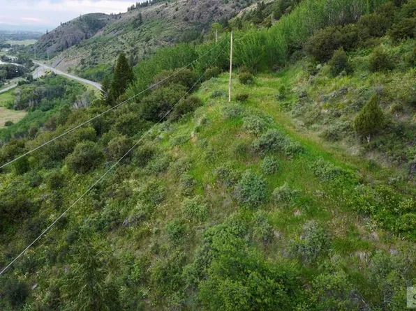 LOT 1 Swan Valley Hwy, Irwin, ID 83428