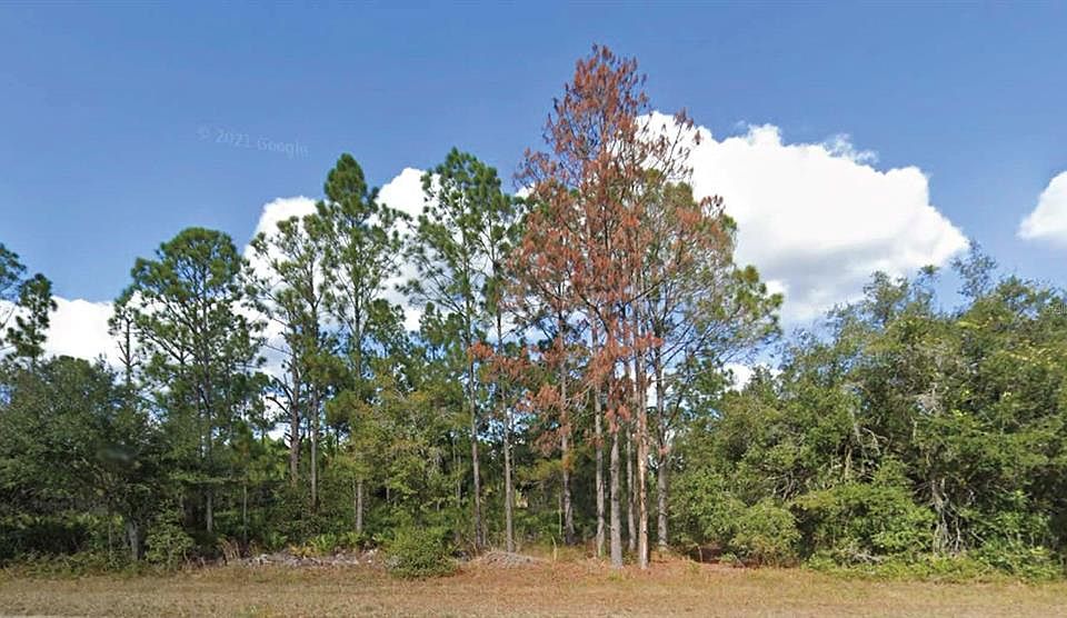 1st image of 508 PALM AVENUE LOT 4