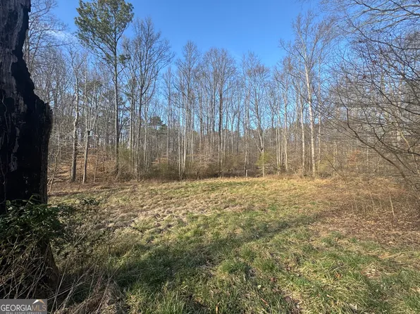 369 Thompson Ln, Jasper, GA 30143