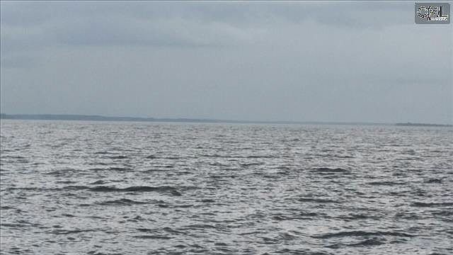 2nd image of 243 Taylors Cove Rd