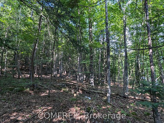 3rd image of 4853 Opeongo Rd