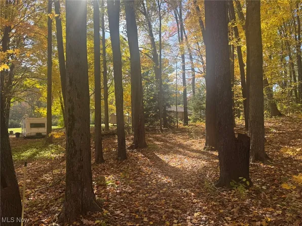 Infirmary Rd, Mantua, OH 44255