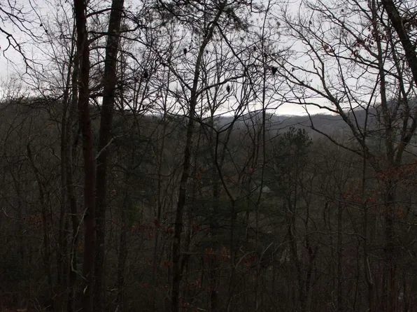 24 Coyote Cv, Hayesville, NC 28904