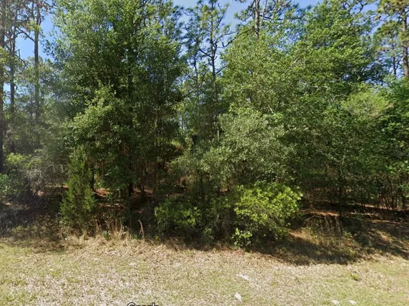 LOT 3 SW 102nd Street Rd Lot 3, Dunnellon, FL 34431