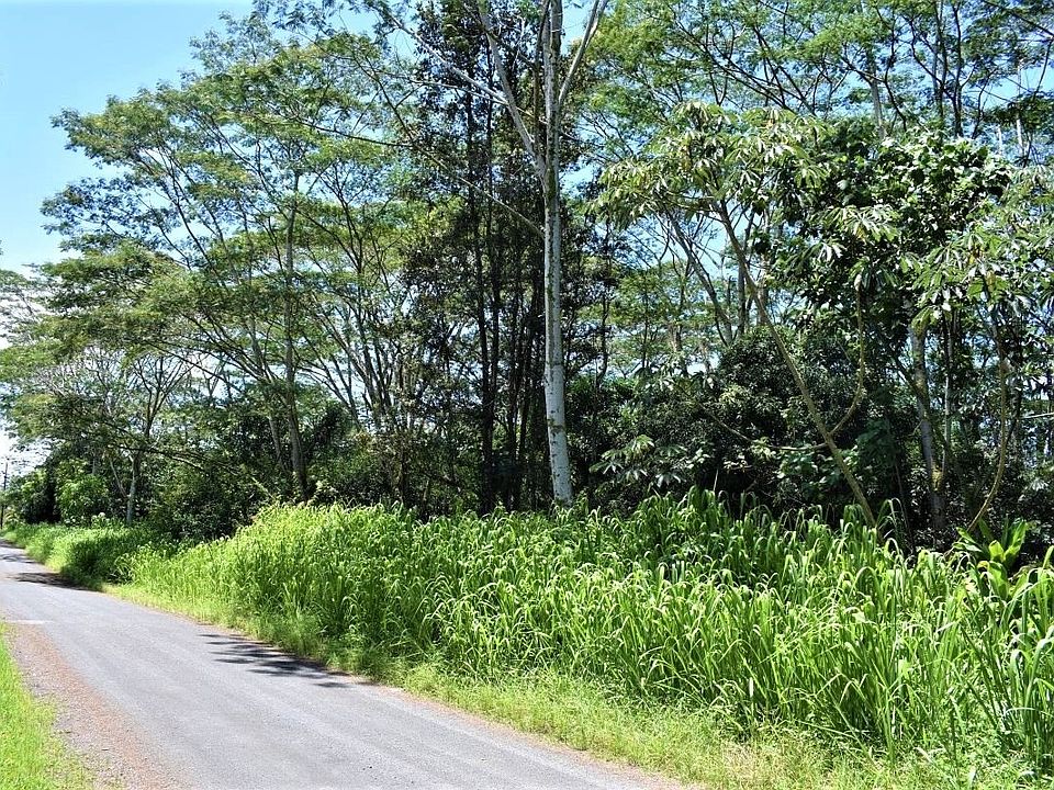1st image of 12th Ave