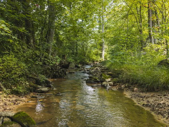 0 Snake Hollow Rd #162.33, Sneedville, TN 37869