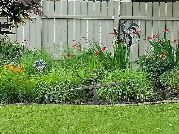 A Backyard Garden