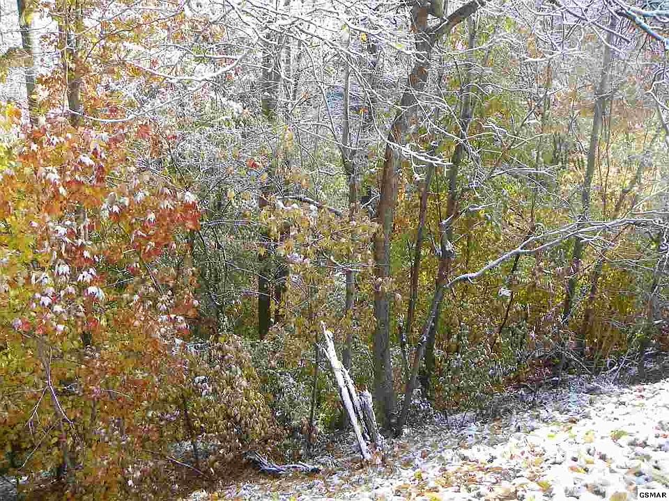 1st image of 18 Pinyon Cir Lot 18