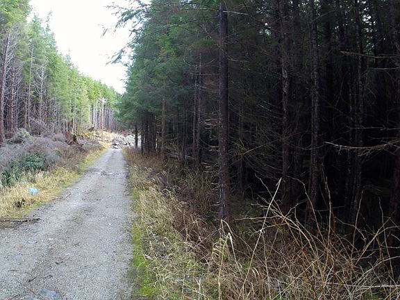 2nd image of Nhn Valley Rd And Blueberry Drive