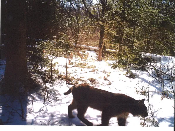 2845 N Highway 47, Park Falls, WI 54552