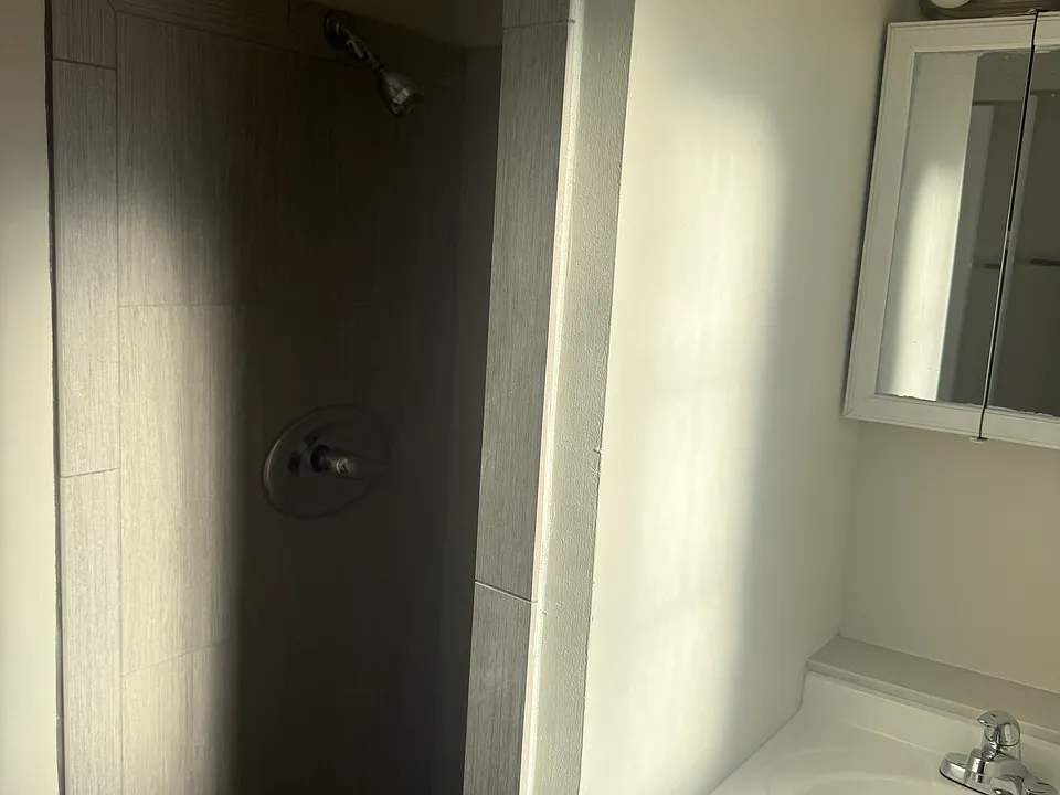 Downstairs Bathroom