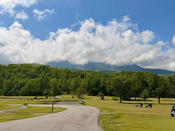 3rd image of 0 Black Gum Gap Rd