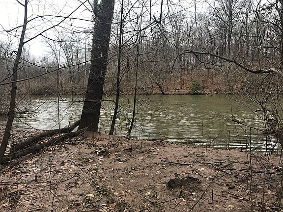 5th image of 11060 Stonebrook Dr