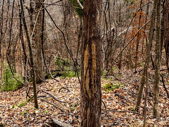 5th image of 0 Oak Ridge Rd