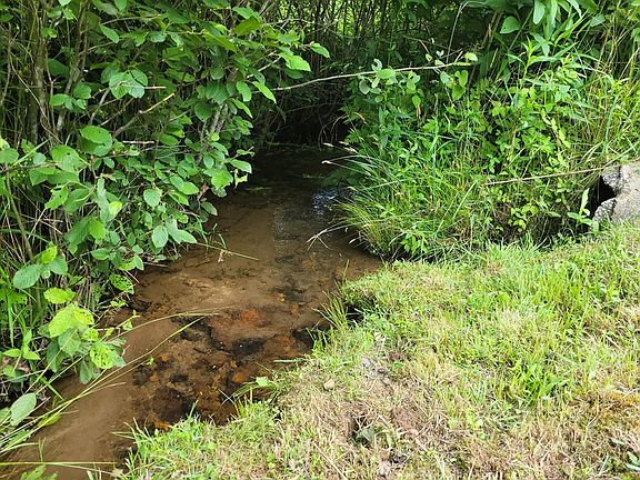 3rd image of 0 Rose Creek Trl