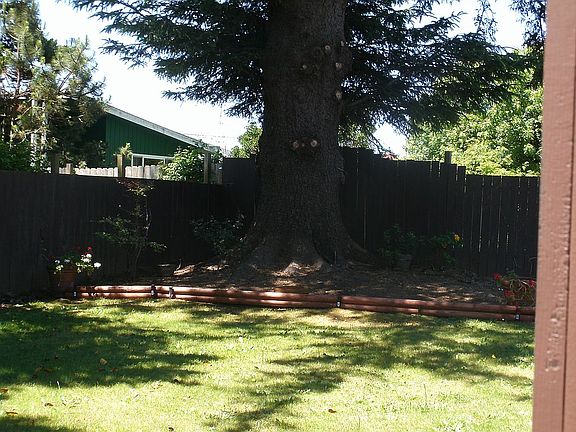 4th image of 314 E Cooper Ave