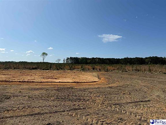 4th image of 1507 Patty Rd