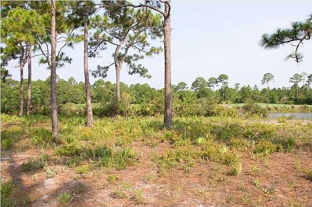 2nd image of 3504 Burnt Pine Ln